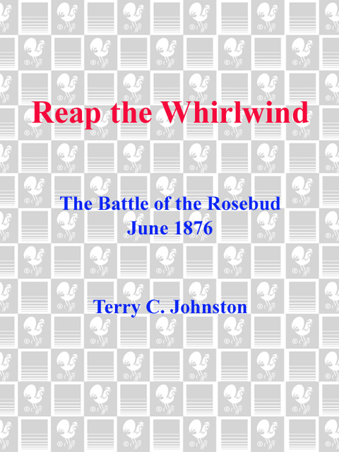 Cover image for book Reap the Whirlwind