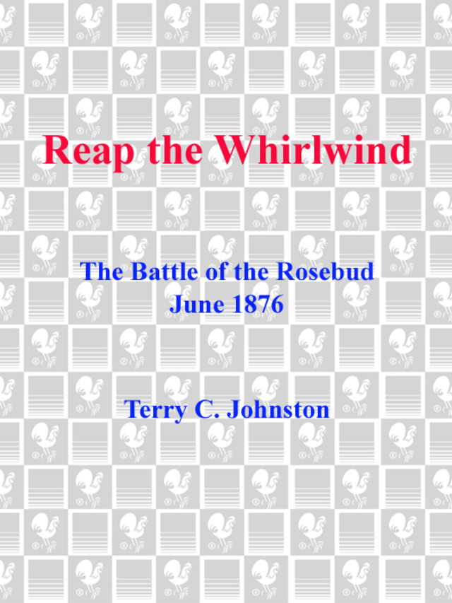 Reap the Whirlwind