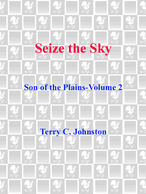 Cover image for book Seize the Sky