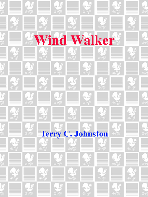 Cover image for book Wind Walker