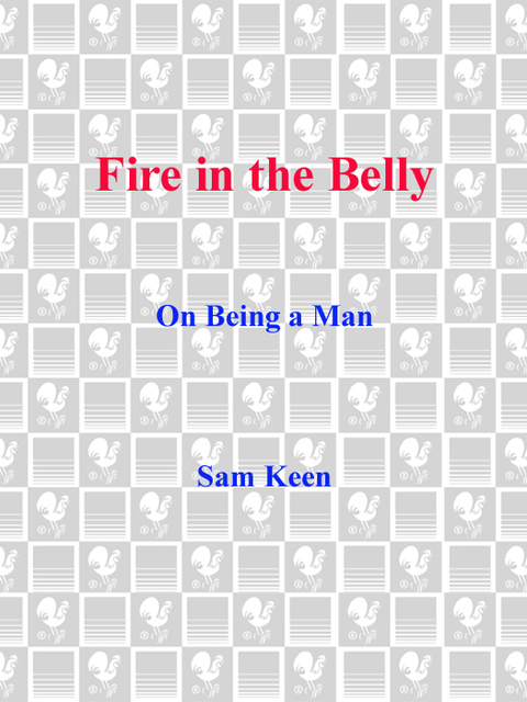 Cover image for book Fire in the Belly