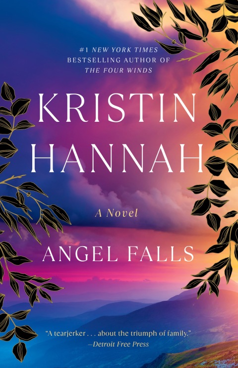 Cover image for book Angel Falls