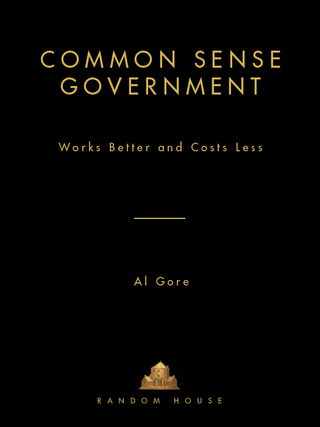 Common Sense Government
