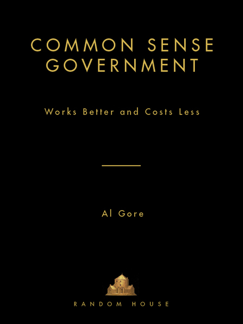 Cover image for book Common Sense Government