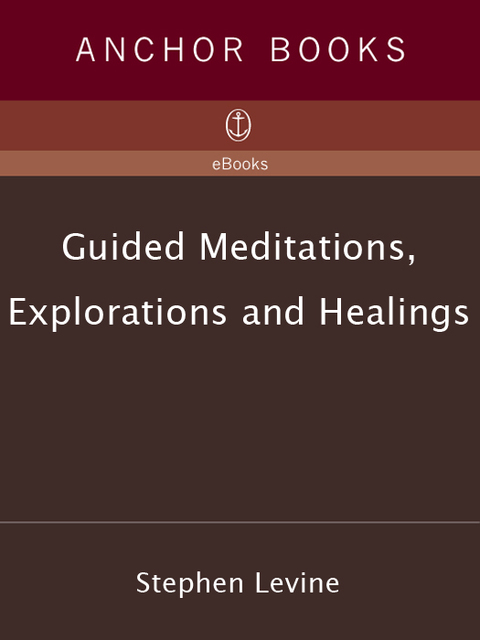 Cover image for book Guided Meditations, Explorations and Healings