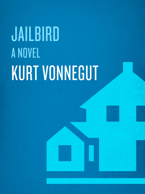 Cover image for book Jailbird