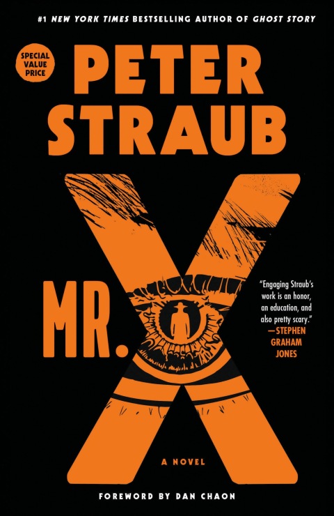 Cover image for book Mr. X