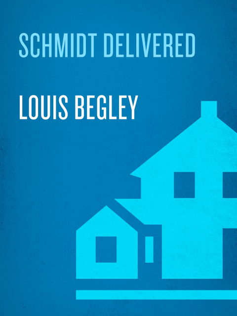 Cover image for book Schmidt Delivered