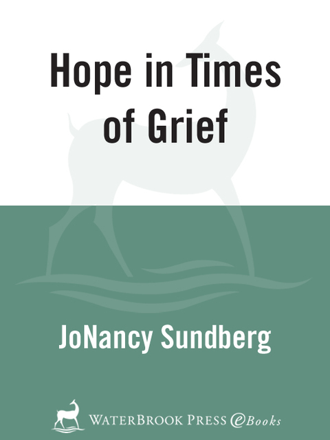 Cover image for book Hope in Times of Grief