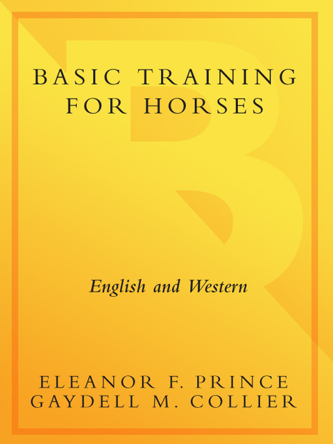Cover image for book Basic Training for Horses