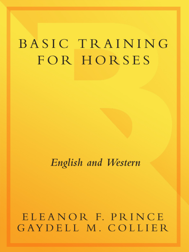 Basic Training for Horses