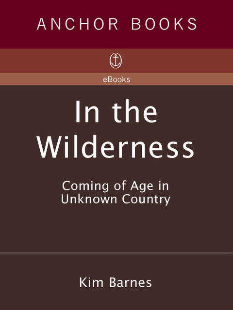 Cover image for book In the Wilderness