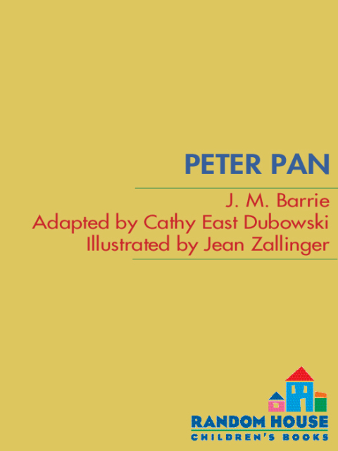 Cover image for book Peter Pan