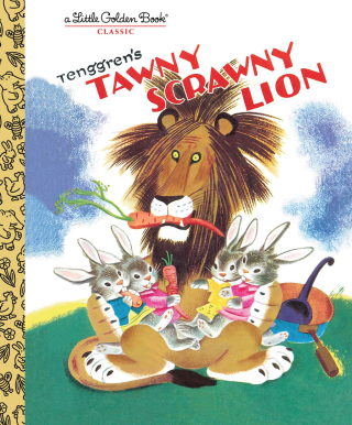 Tawny Scrawny Lion