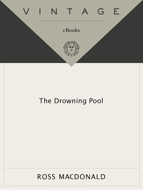 Cover image for book The Drowning Pool