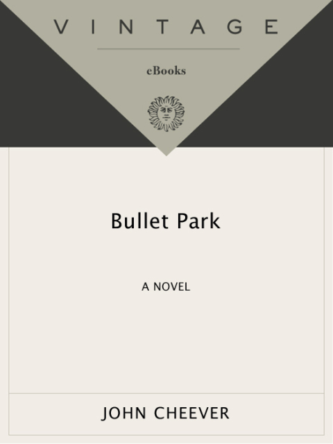 Cover image for book Bullet Park