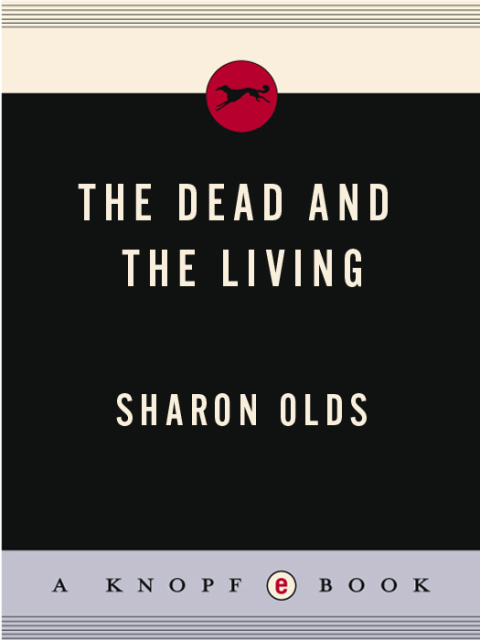 Cover image for book The Dead and the Living