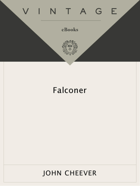 Cover image for book Falconer