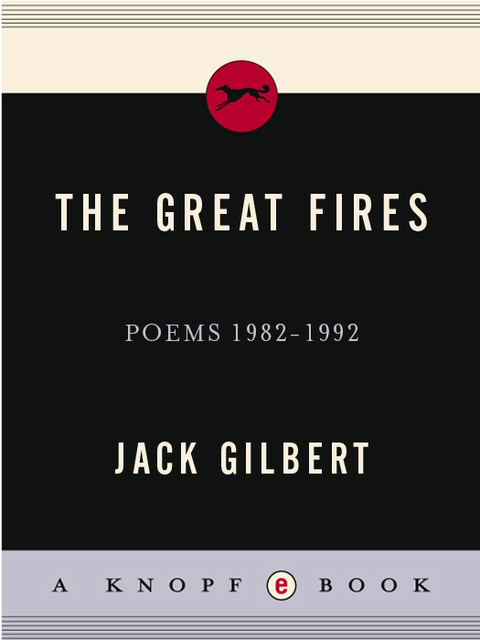 Cover image for book The Great Fires