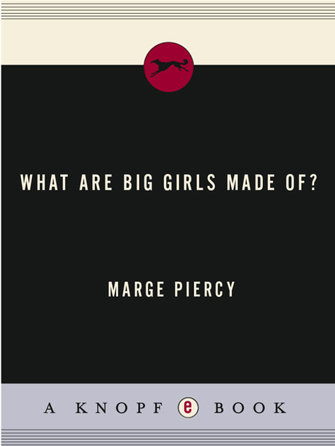Cover image for book What Are Big Girls Made Of?