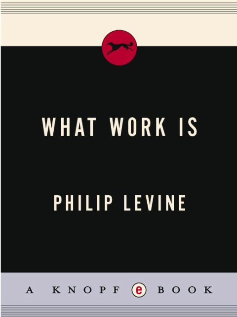 Cover image for book What Work Is