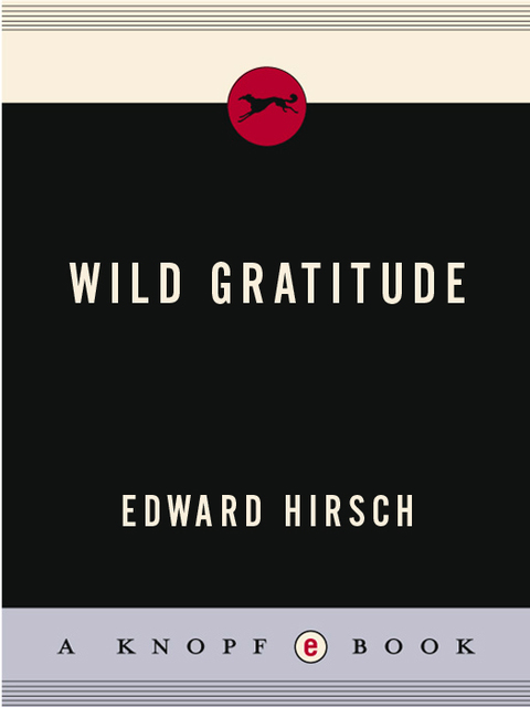 Cover image for book Wild Gratitude