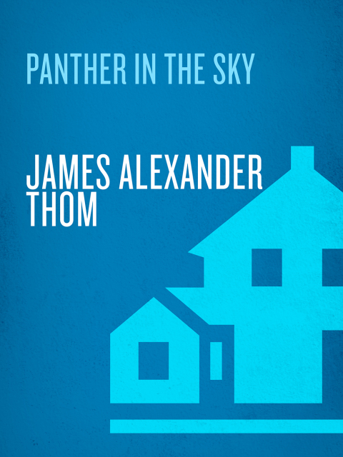 Cover image for book Panther in the Sky