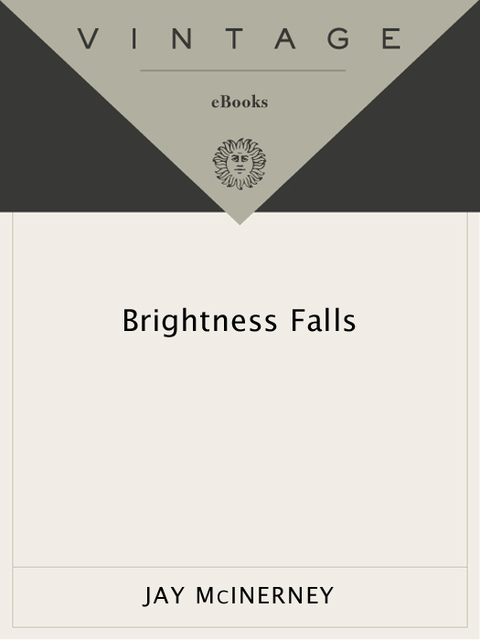 Cover image for book Brightness Falls