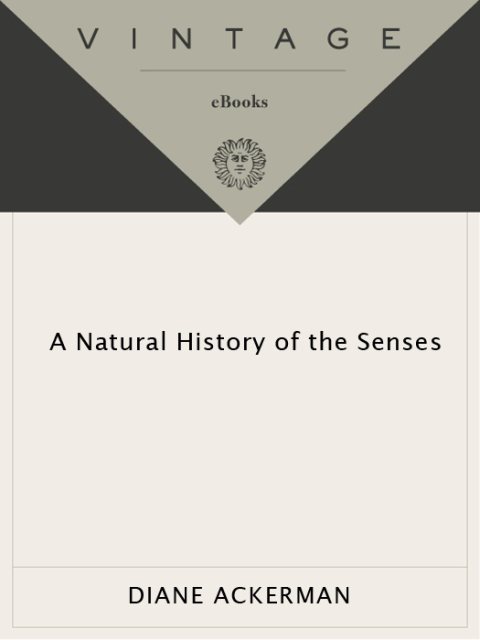 Cover image for book A Natural History of the Senses