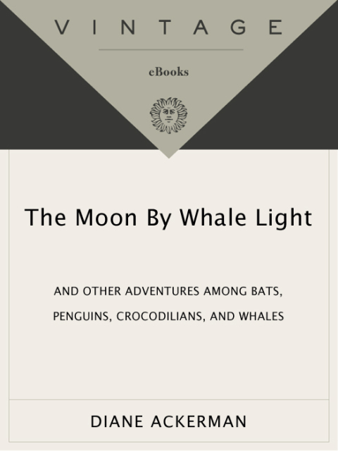 Cover image for book Moon By Whale Light