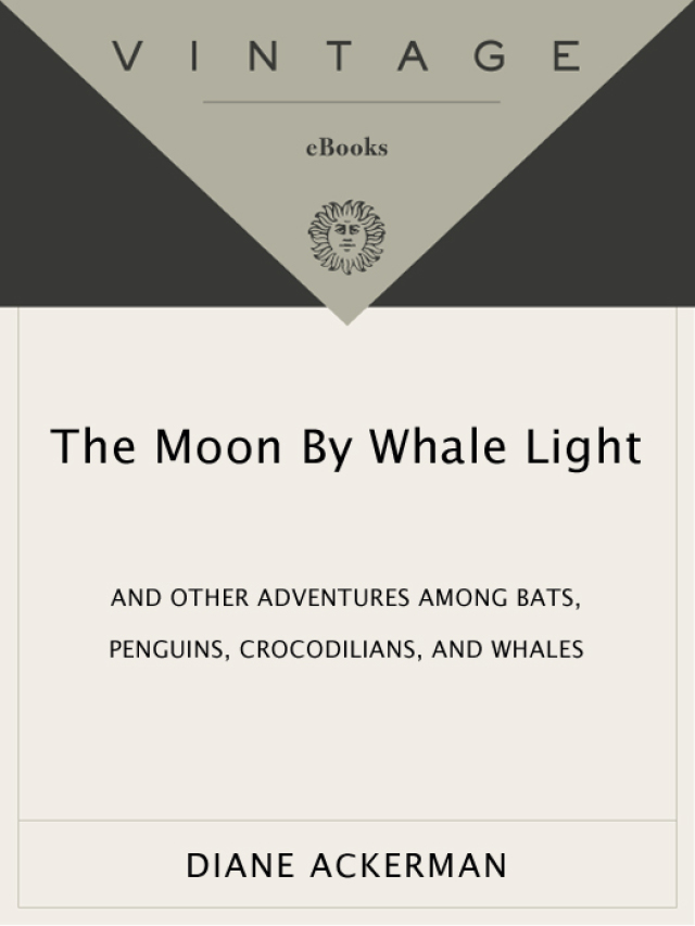 Moon By Whale Light