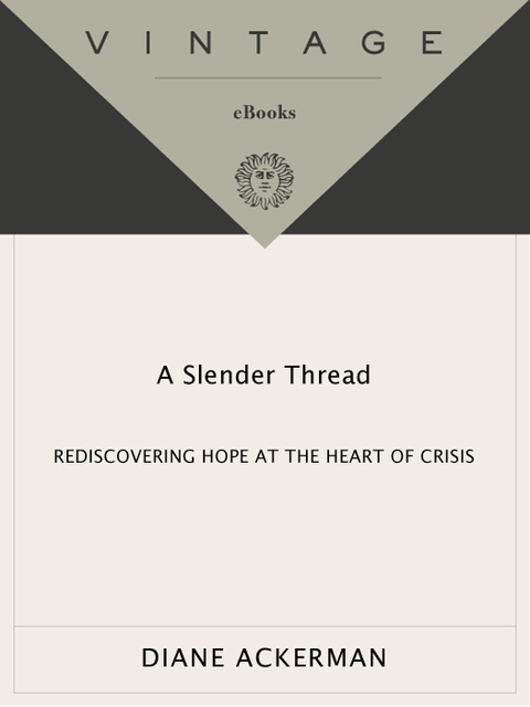Cover image for book A Slender Thread