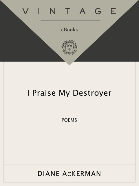 Cover image for book I Praise My Destroyer