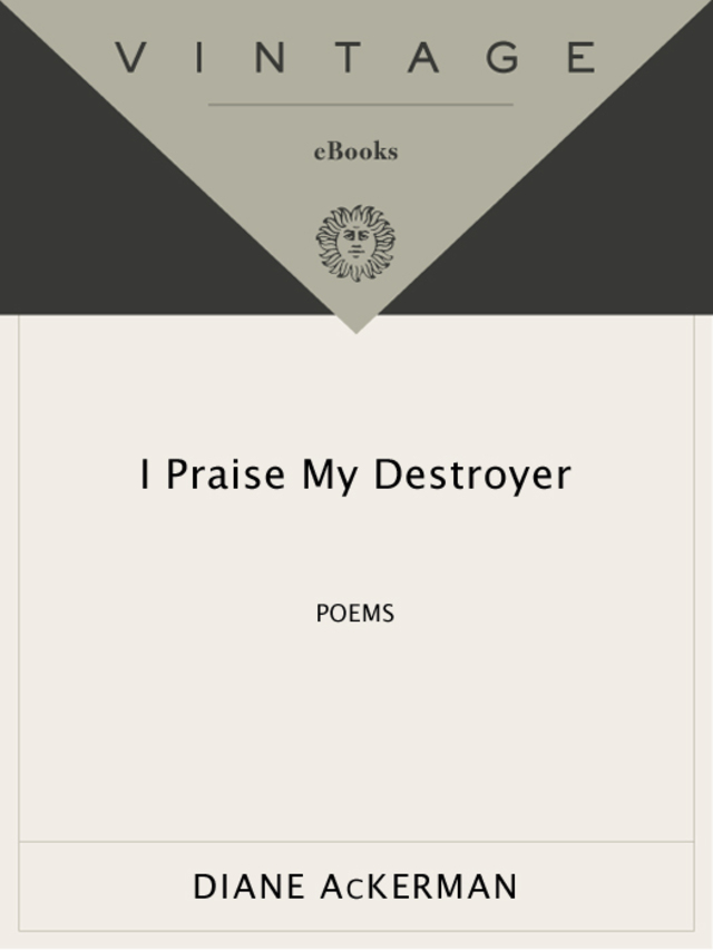 I Praise My Destroyer