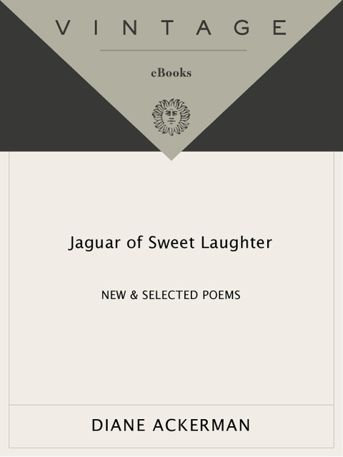 Cover image for book Jaguar of Sweet Laughter