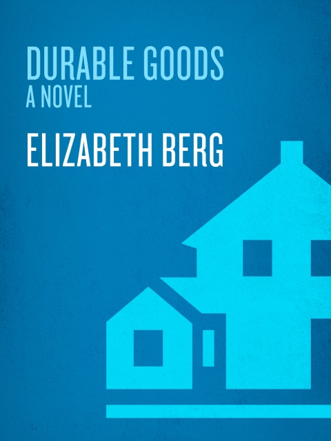 Cover image for book Durable Goods