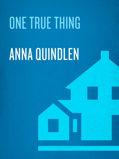 Cover image for book One True Thing