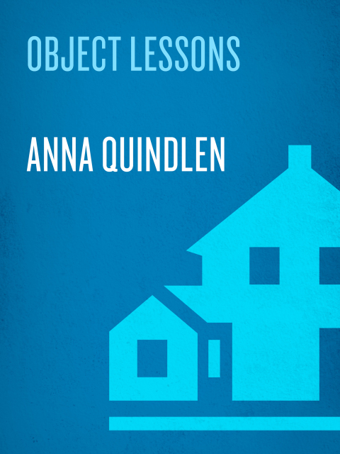 Cover image for book Object Lessons