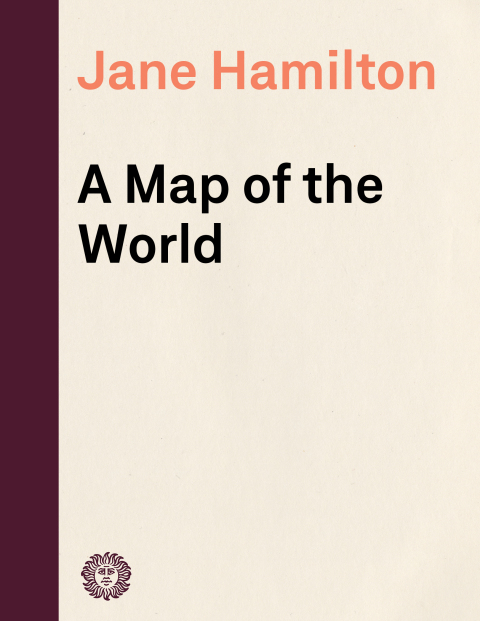 Cover image for book A Map of the World