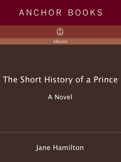 Cover image for book The Short History of a Prince