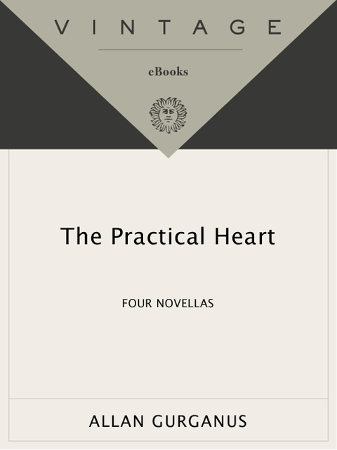 Cover image for book The Practical Heart