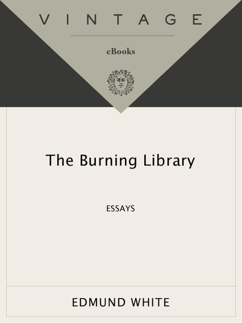 Cover image for book The Burning Library