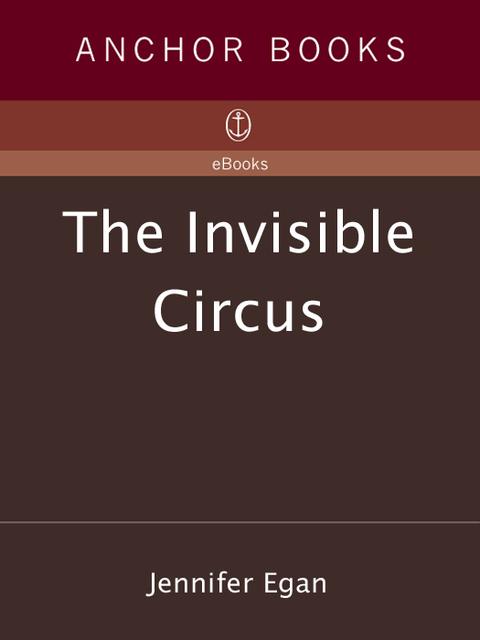 Cover image for book The Invisible Circus