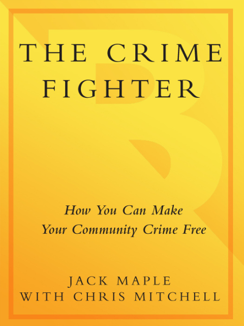 Cover image for book The Crime Fighter