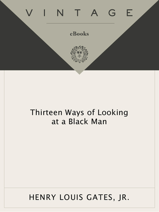 Thirteen Ways of Looking at a Black Man