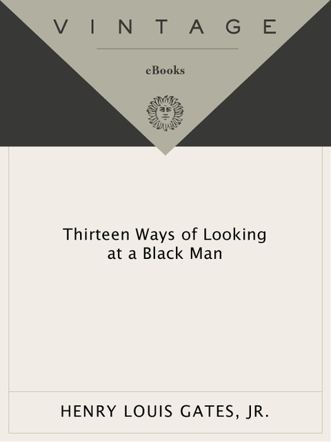 Cover image for book Thirteen Ways of Looking at a Black Man