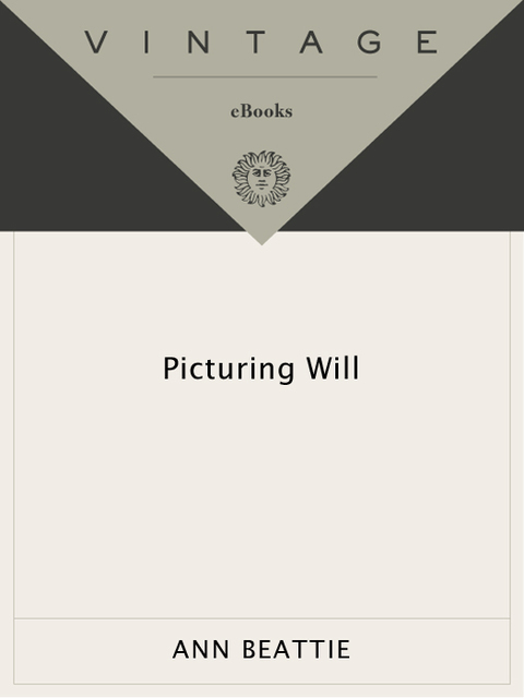 Cover image for book Picturing Will
