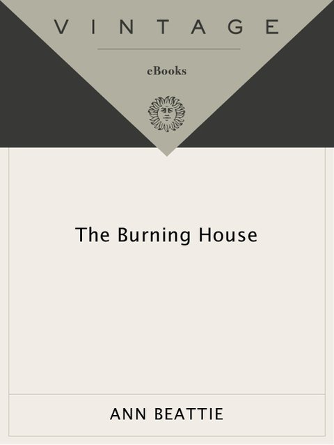 Cover image for book Burning House