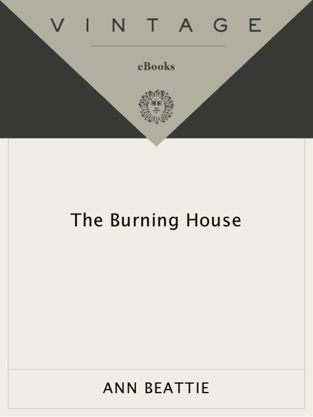 Burning House