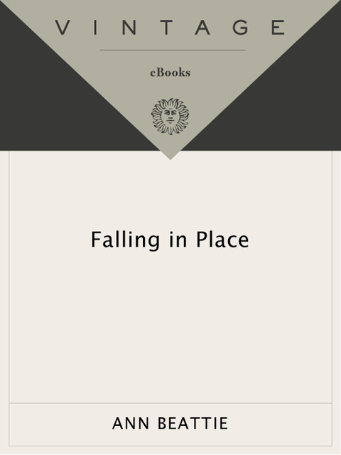 Cover image for book Falling in Place